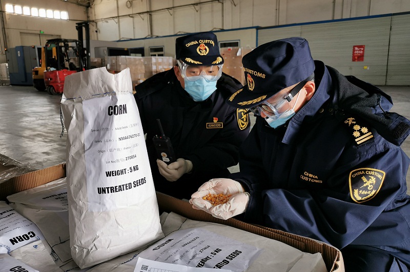 货运航班飞抵天津滨海国际机场,飞机卸货运送至海关集中查验场所后