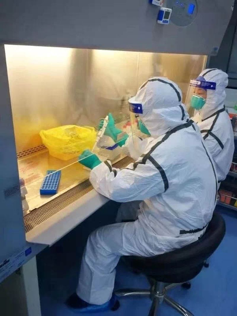 ‘这个实验室担负着新冠病毒的核酸检测工作！’的缩略图