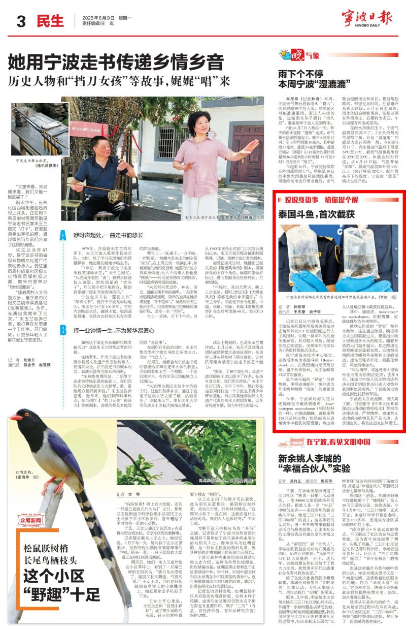 1 《宁波日报》：泰国斗鱼，首次截获